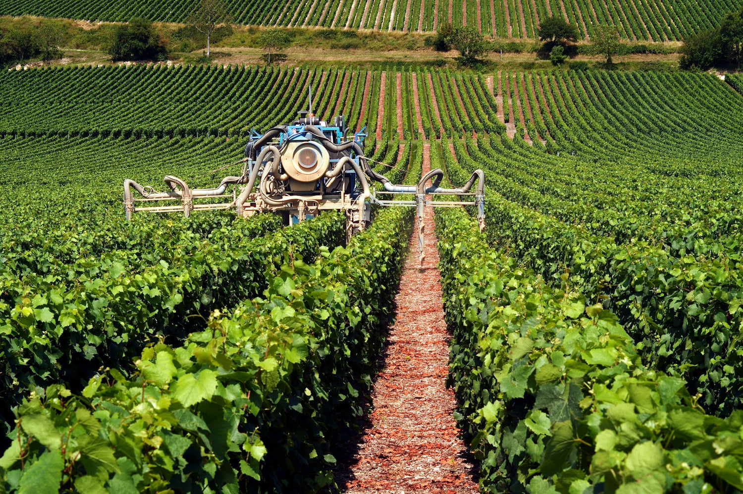 A vineyard spraying machine working between lush vine rows in Champagne, France, where René Jolly produces its wines. Photo: INRA DIST (CC BY 2.0)
