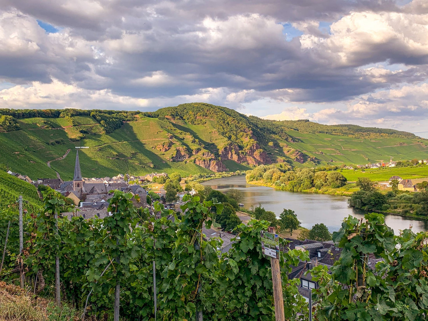 A German wine village with a church tower nestled beside a river, terraced vineyards rising steeply on the hillsides of Rheinhessen