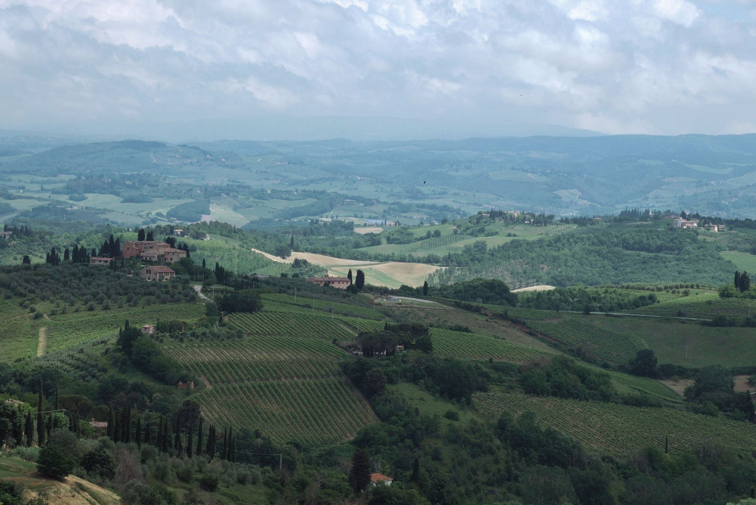 Rolling Italian countryside with vineyard rows, cypress trees and a hilltop villa amid misty hills, northern Italy