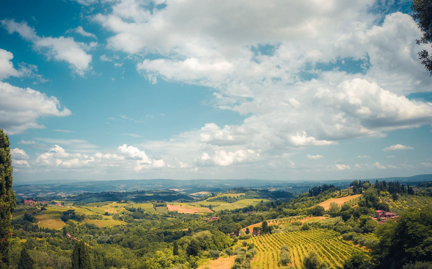 Rolling Tuscan countryside with vineyard rows, cypress trees and farmhouses under a dramatic cloudy sky, Italy