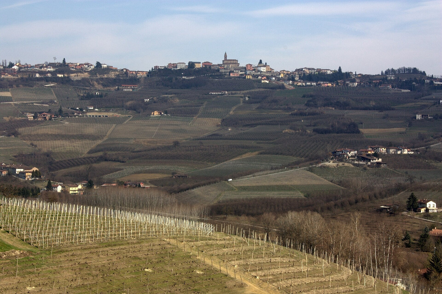 Dormant vineyard rows covering rolling winter hillsides below a Piedmont hilltop town, Sella Majoli, Italy. Photo: Andrea Stefanini (CC BY 2.0)