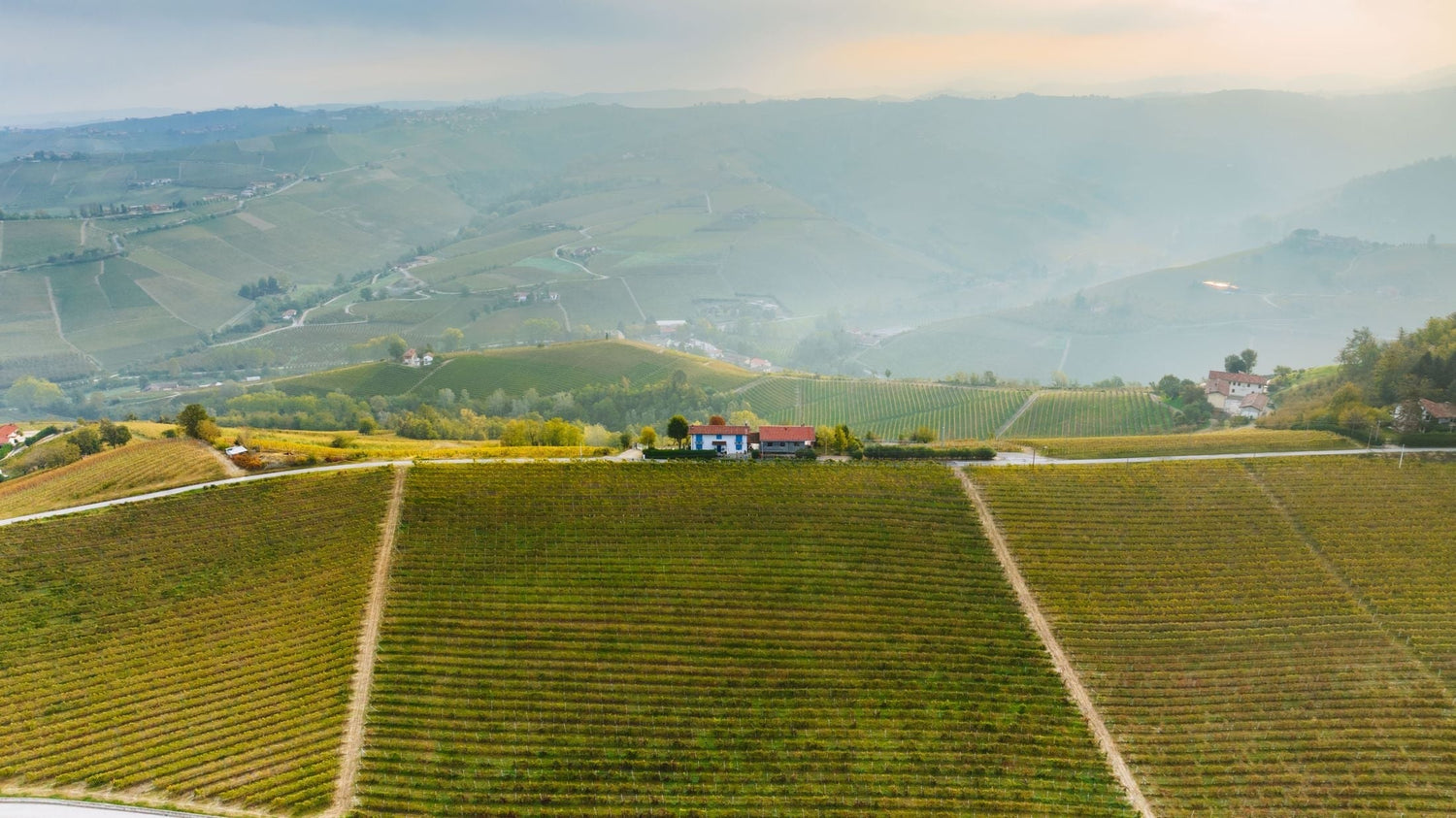 Aerial view of autumn vineyard hills with a farmhouse amid rolling misty landscape, Italian wine country