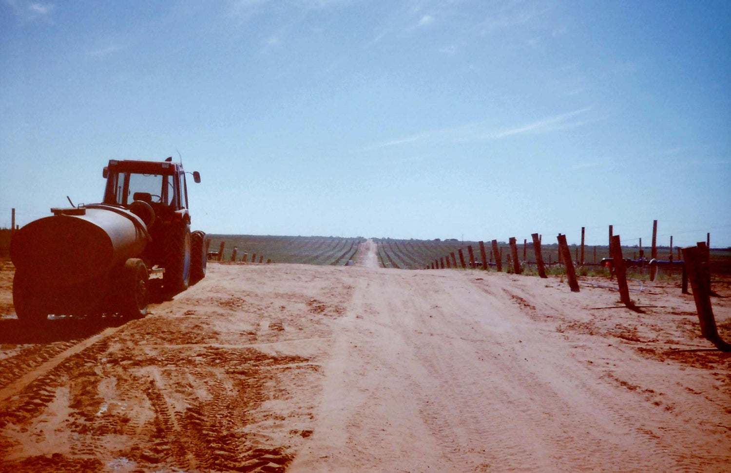 A tractor beside a long sandy dirt track flanked by flat vineyard rows under blue sky, South Australia. Photo: Calistemon (CC BY-SA 4.0)