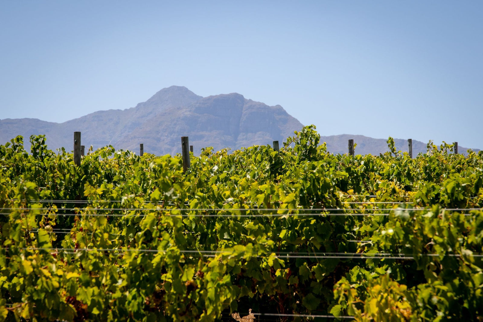 South Africa