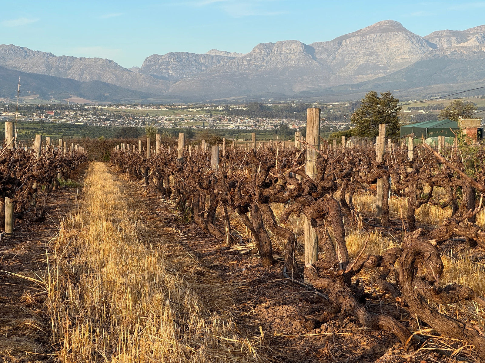 Swartland