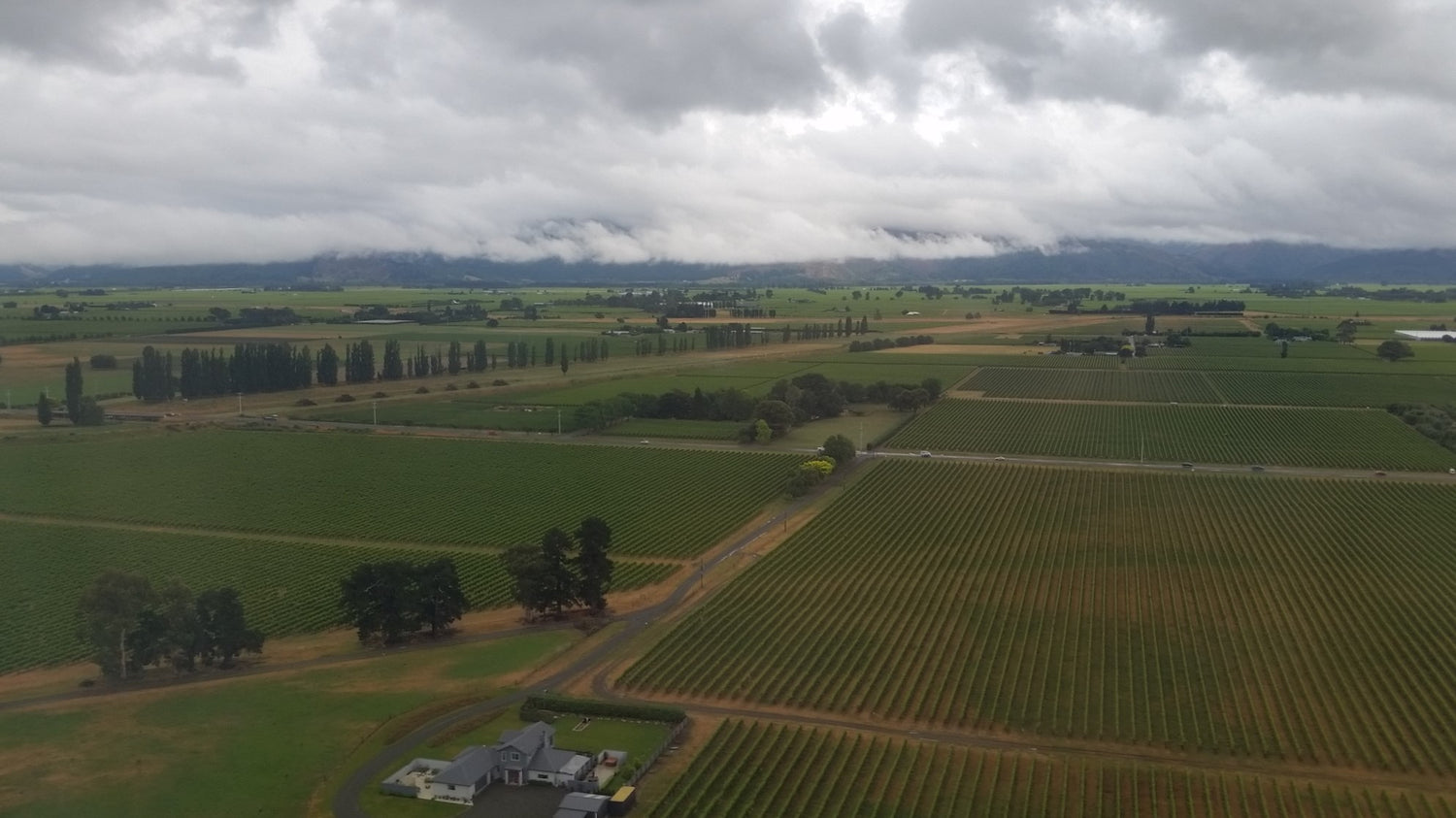 Aerial view of patchwork vineyards across the Marlborough plain, New Zealand, with mountains and cloud above. Photo: Insertcleverphrasehere (CC BY-SA 4.0)