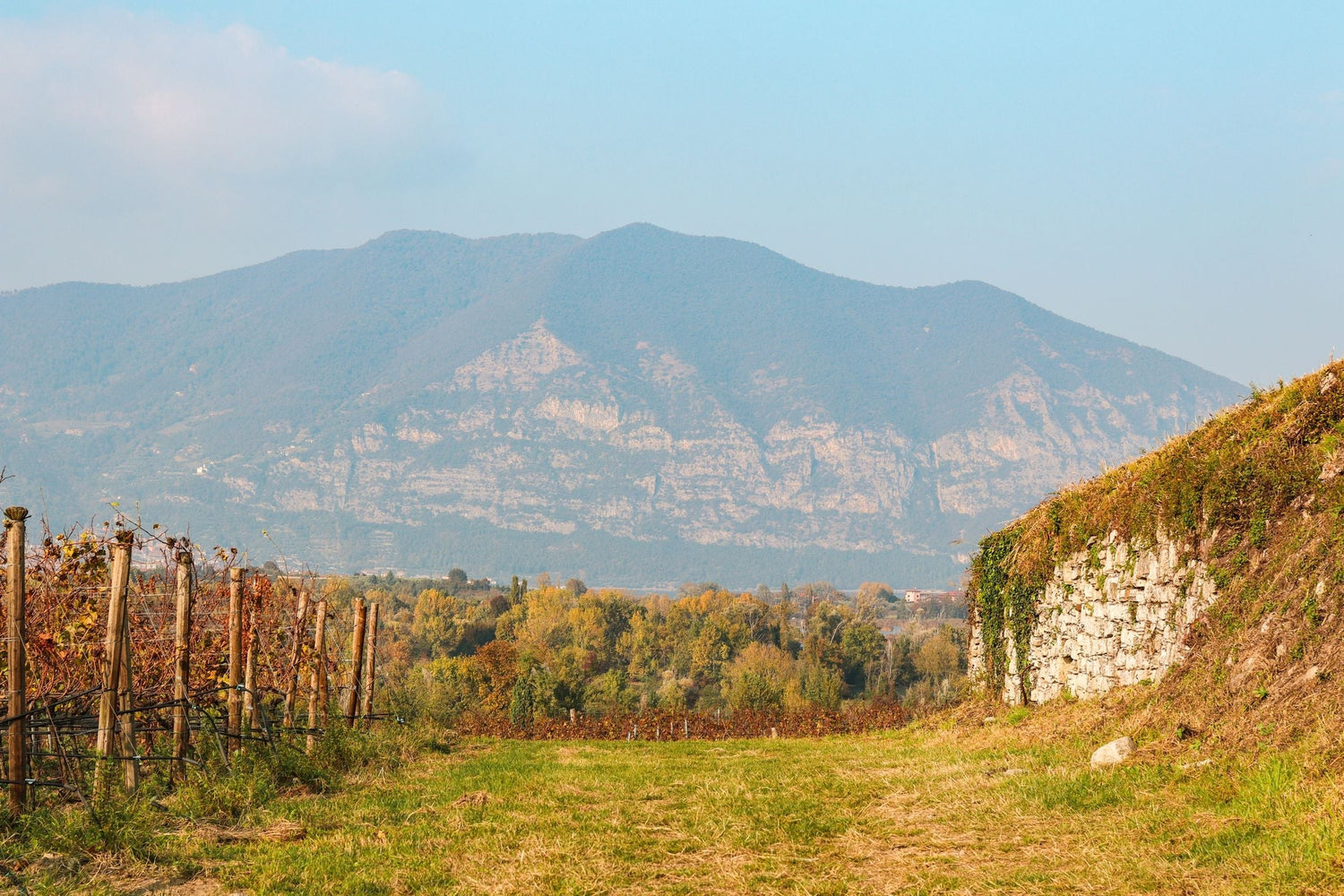Autumn vineyard with wooden posts and stone terracing, mountains in the background, northern Italy — Tenuta Mona Lisa estate