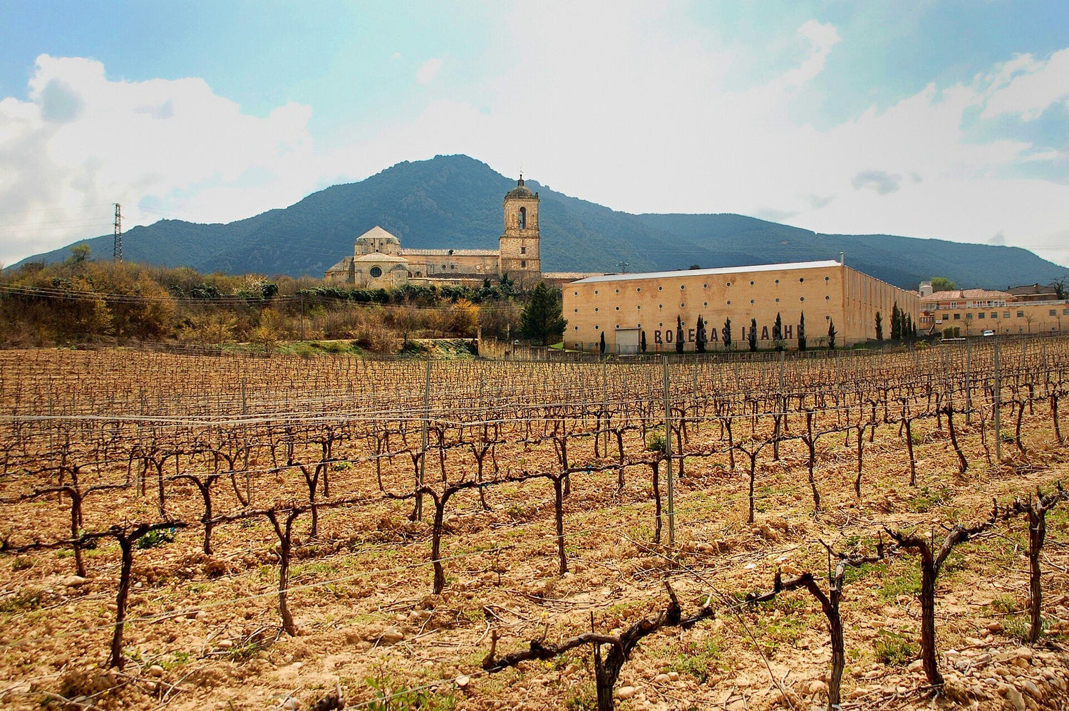Dormant winter vines beside the historic Irache monastery and winery, Navarra, Spain. Photo: Matthias Bethke (CC BY-SA 4.0)