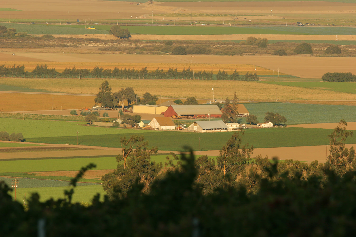 California wine country at sunset seen through vine canopy, golden farmland and winery buildings below, Central Coast. Photo: Hahn Family Wines (CC BY 2.0)