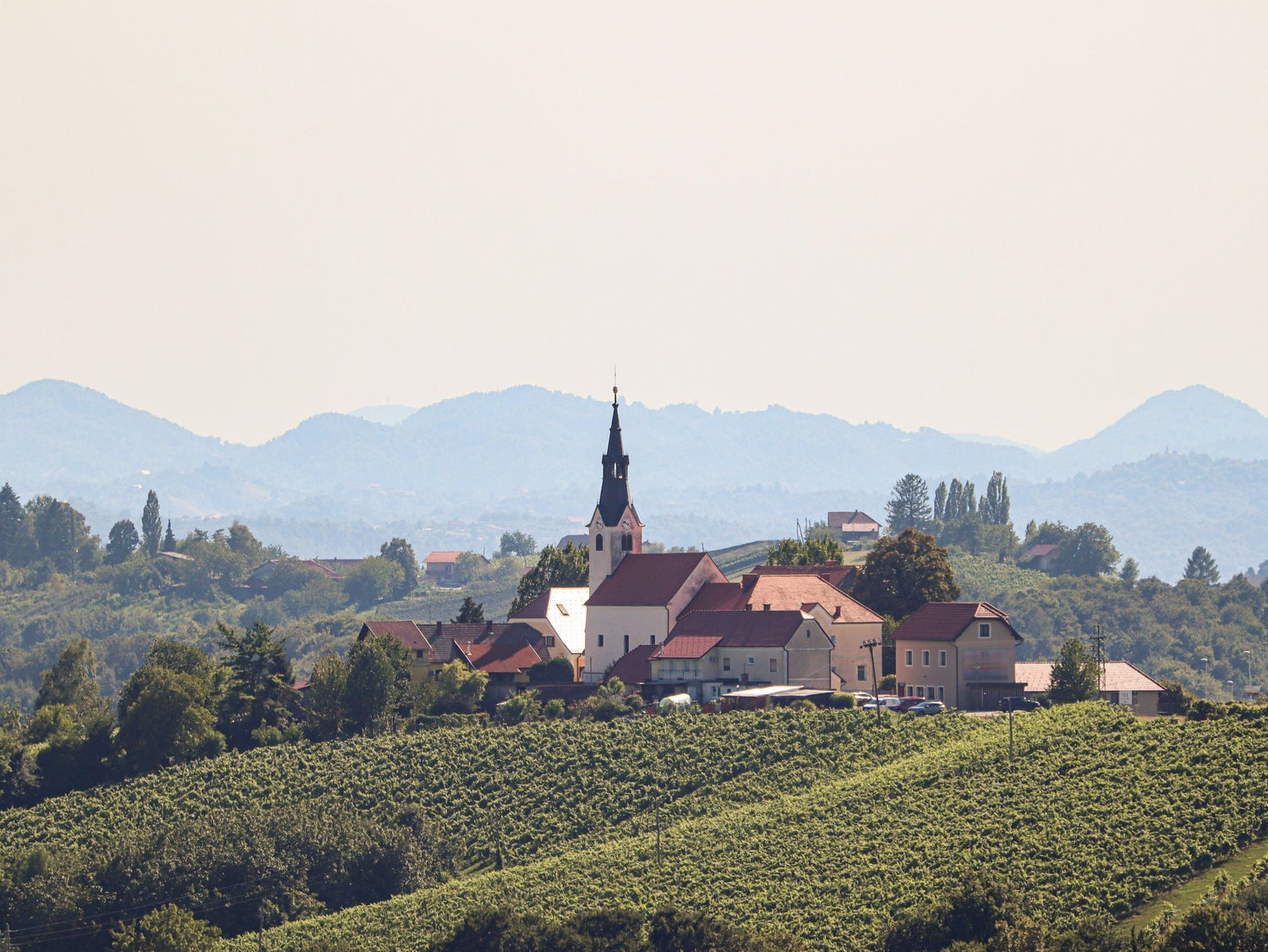 A Central European village with a white church steeple surrounded by vineyard-covered hills in the Tokaj wine region, Hungary