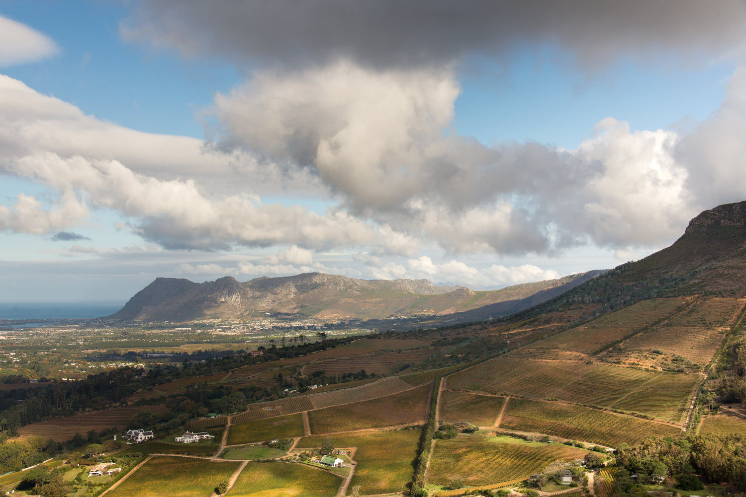 Aerial view of terraced vineyard slopes in Constantia Valley with distant ocean and mountain peaks, Western Cape, South Africa. Photo: Barry Haynes (CC BY-SA 4.0)