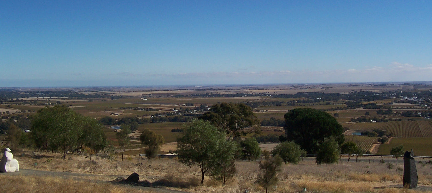 Panoramic hilltop view across the Barossa Valley with flat vineyards and dry eucalyptus trees extending to the horizon, Yelland and Papps. Photo: ScottDavis (CC BY-SA 3.0)