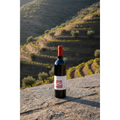 1270 A Vuit Red Priorat DOQ Organic 2016 wine bottle displayed on a stone terrace overlooking the terraced vineyards of Priorat, Spain.