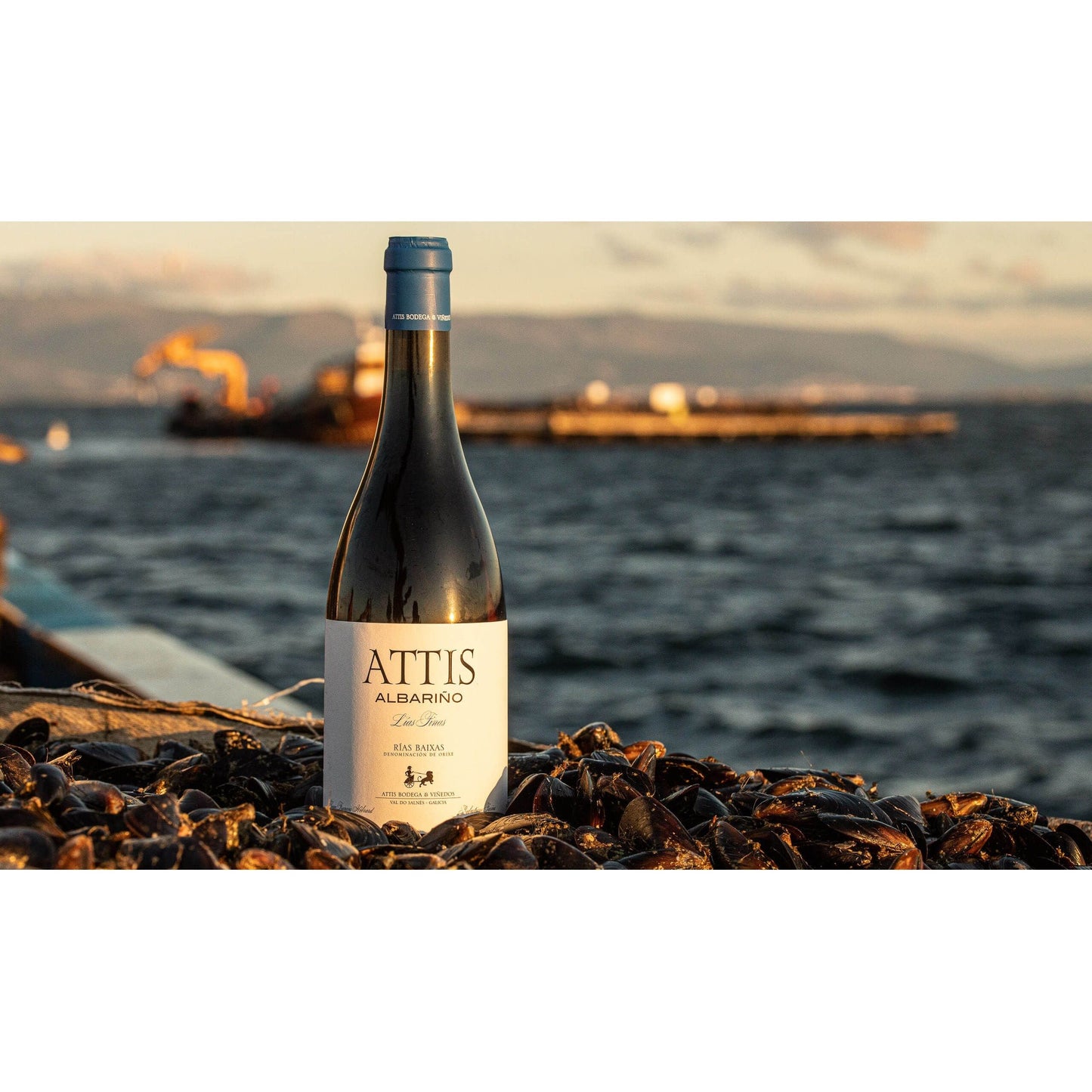 Attis Albariño Lias Finas Wine