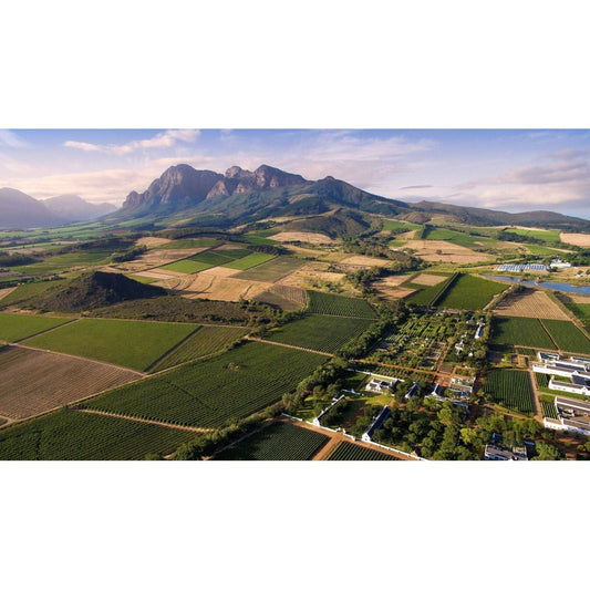Babylonstoren Wine Tasting - Friday 27th September 7-9 pm