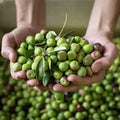 Babylonstoren Olive Oil Olive Oil