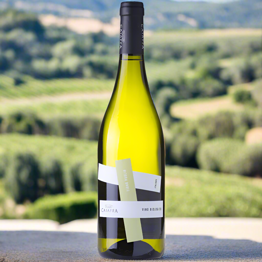 Place a bottle of Caiaffa Fiano on a stone terrace table, with views of lush green hills, olive trees, and warm sunlight in the background.