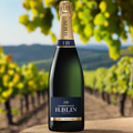 H. Blin Champagne Brut – Wine, Champagne lifestyle photograph