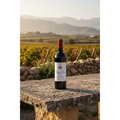 Chateau Musar 2017 red wine bottle displayed on a rustic stone table overlooking sunlit vineyards in Lebanon’s Bekaa Valley.