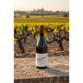 Châteauneuf-du-Pape Télégramme wine bottle displayed on a stone table overlooking vineyards and galets roulés in the Southern Rhône Valley.