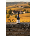 Domaine Georges Joillot Pommard wine bottle displayed on a stone wall overlooking the vineyards of Pommard in Burgundy.