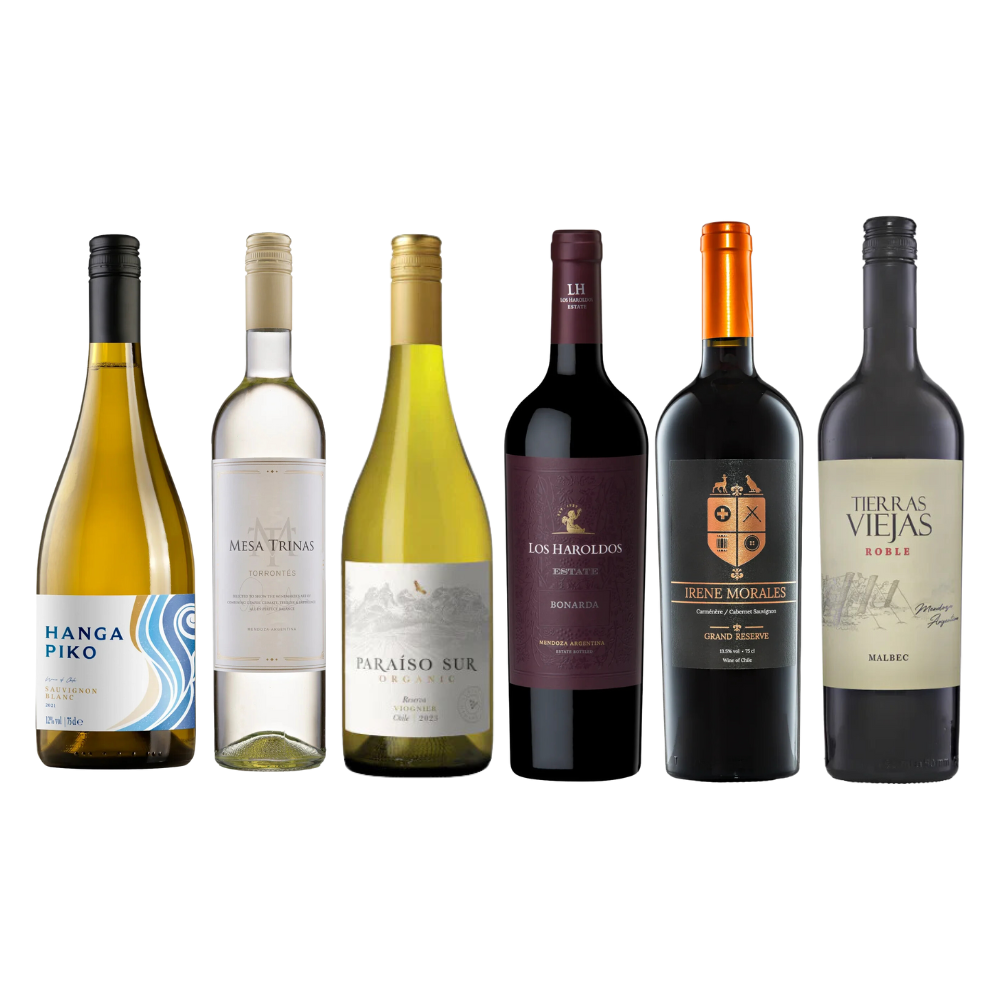 Explore South America Wine Case – Mixed 6 Bottle Case