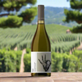 Folli & Benato Gavi Wine