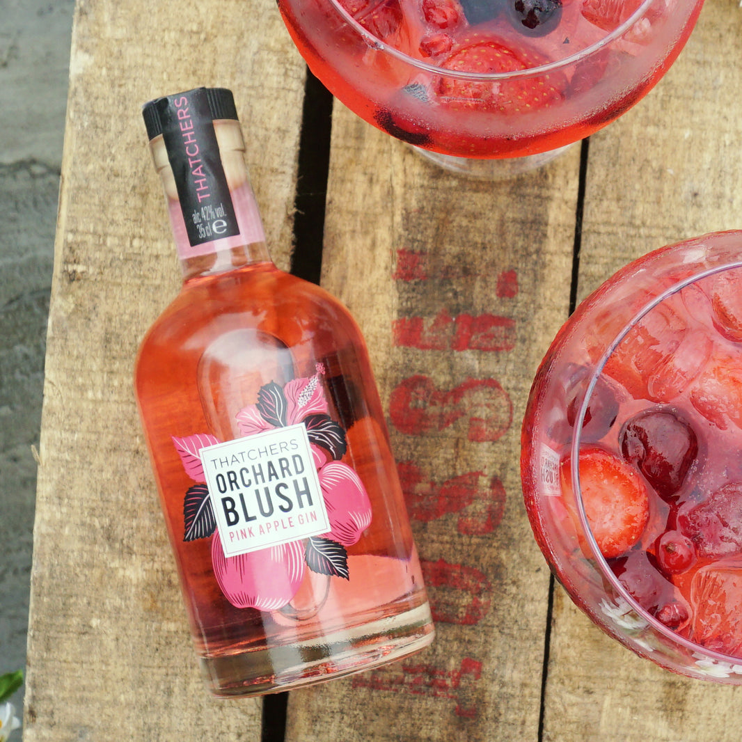 Thatchers Orchard Blush Pink Apple Gin – Somerset, England