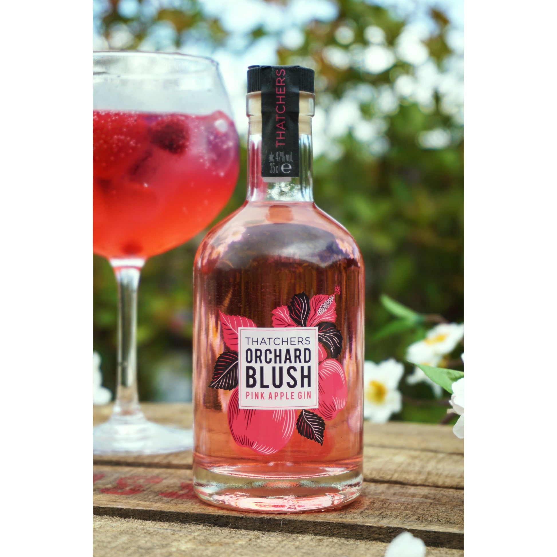Thatchers Orchard Blush Pink Apple Gin Gin