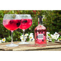 Thatchers Orchard Blush Pink Apple Gin – Gin, South West England lifestyle photograph