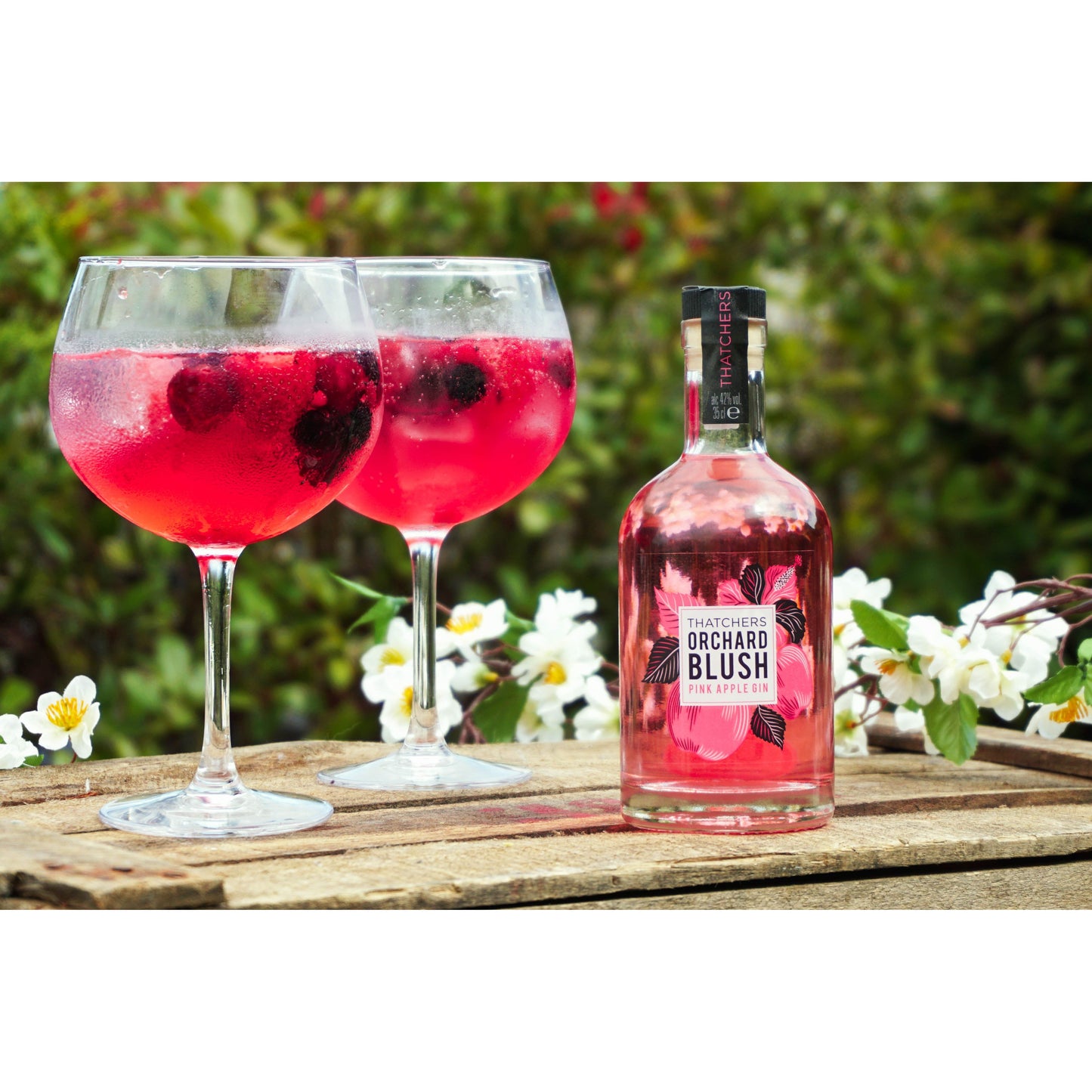 Thatchers Orchard Blush Pink Apple Gin Gin