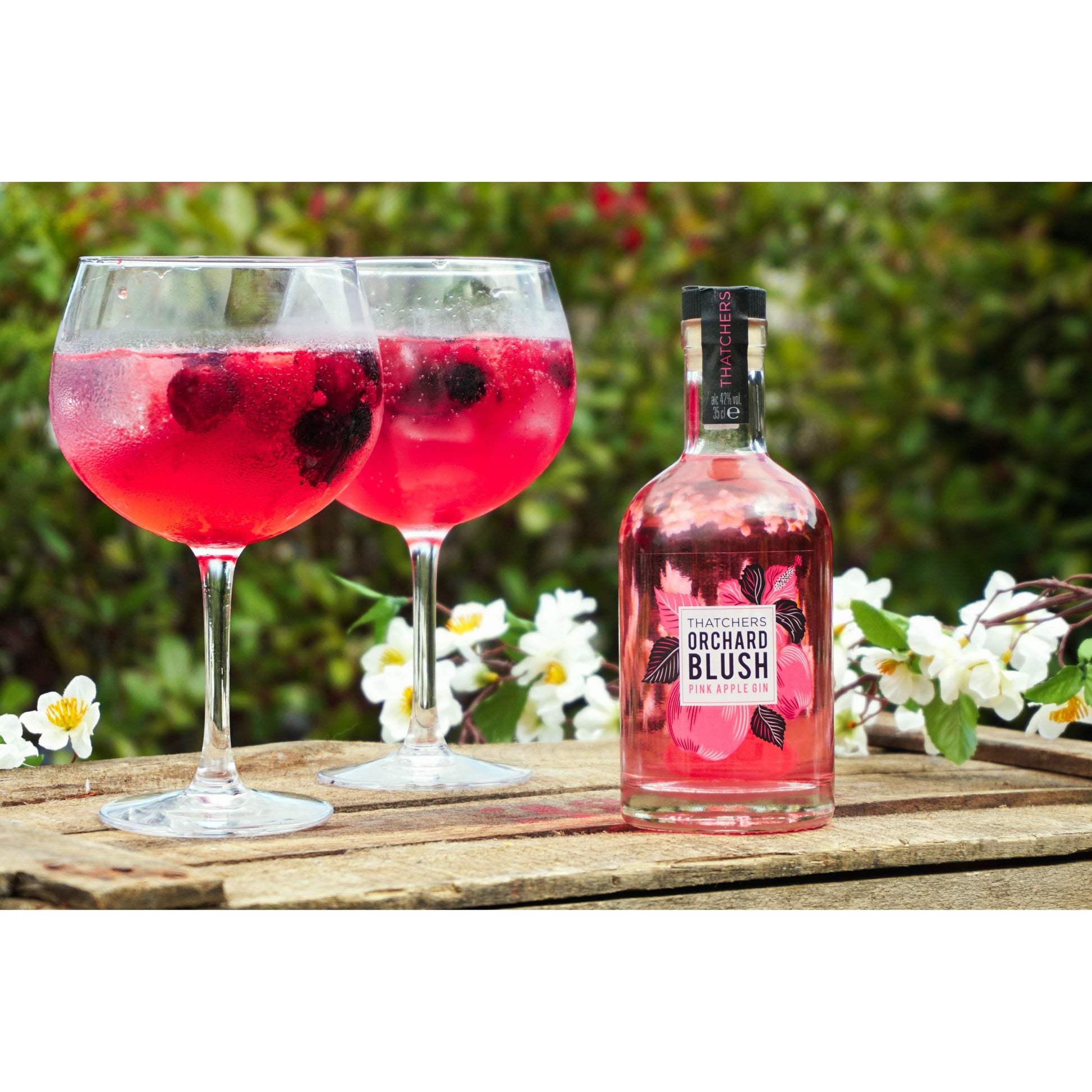 Thatchers Orchard Blush Pink Apple Gin Gin