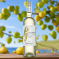 Pasqua Colori D’Italia Pinot Grigio bottle on a wooden table overlooking a sunny vineyard