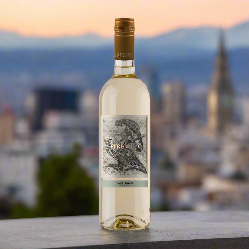 Peregrino Pinot Grigio bottle on a Santiago rooftop with city skyline and Andes mountains.