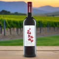 Red Orchid Merlot – Wine, Spain lifestyle photograph