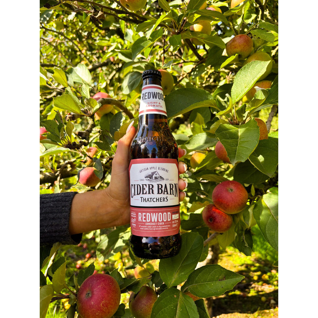 Thatchers Cider Barn Redwood – Somerset, England