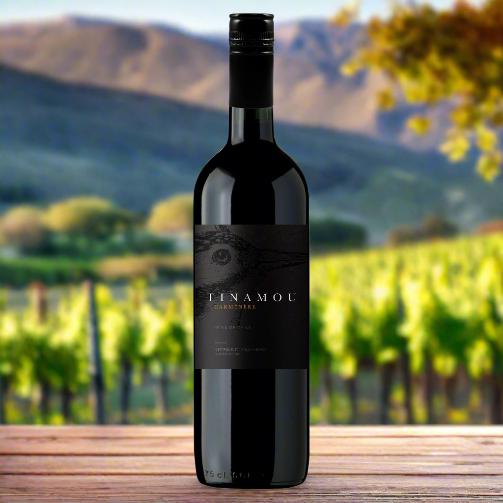 Tinamou Carmenere bottle with Chilean vineyard and Andes in background