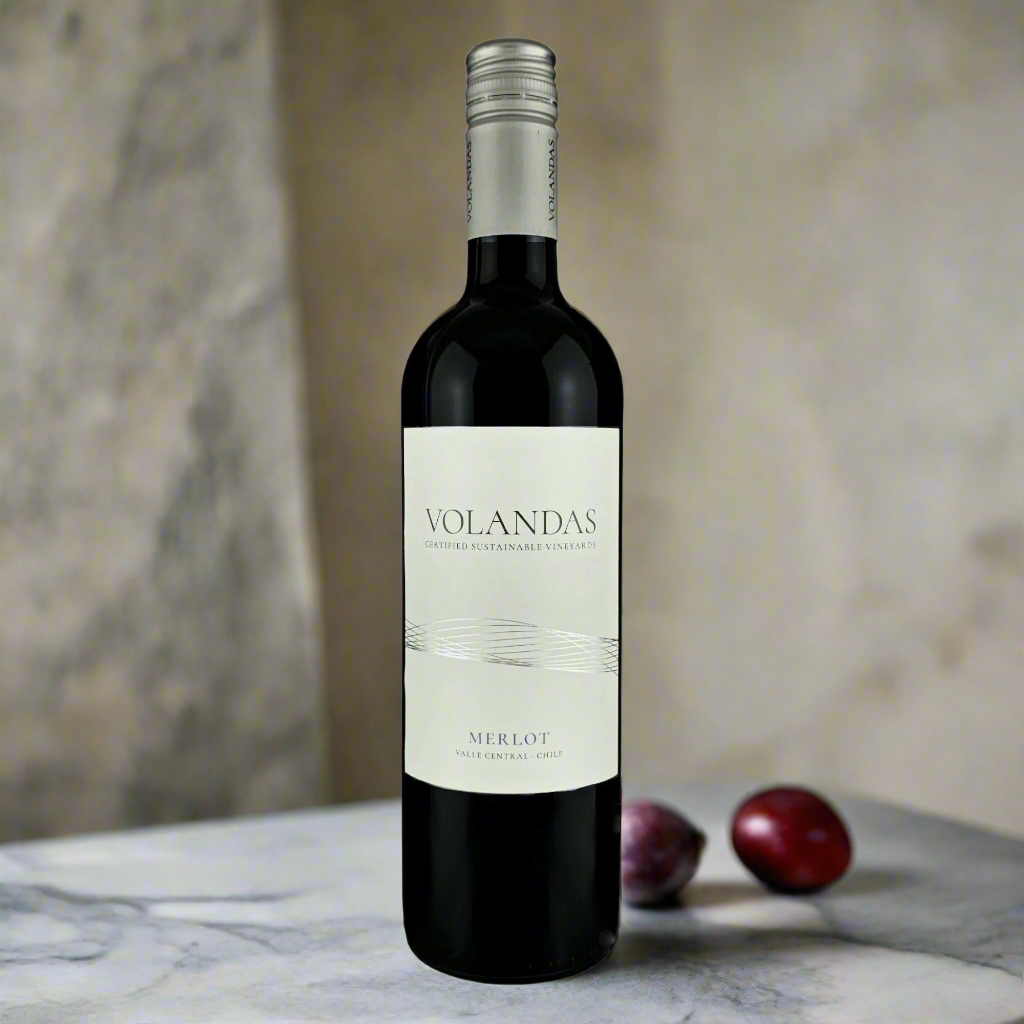 Volandas Merlot bottle on marble counter with plums and soft window light
