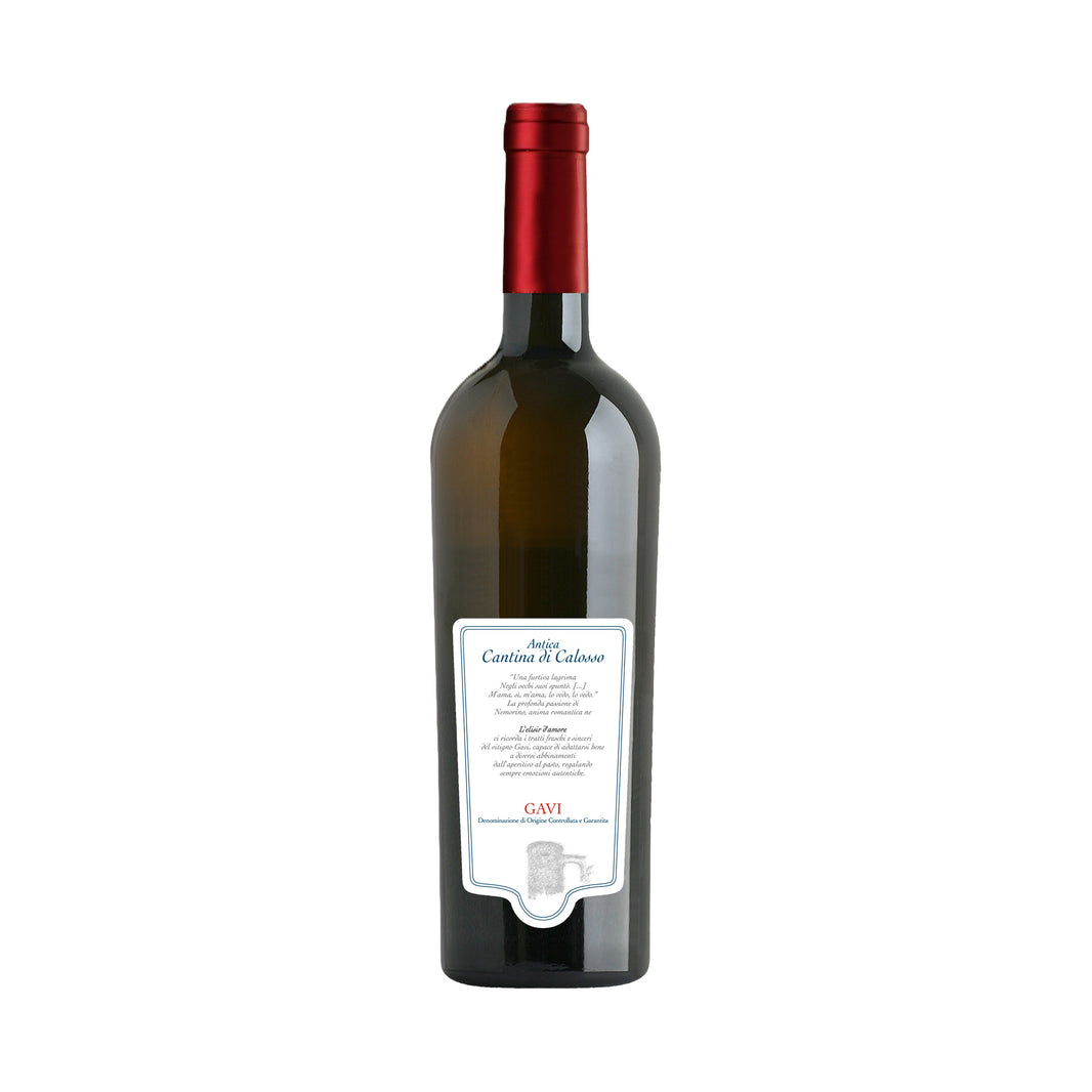 Antica Cantina di Colosso Gavi – Piedmont, Italy