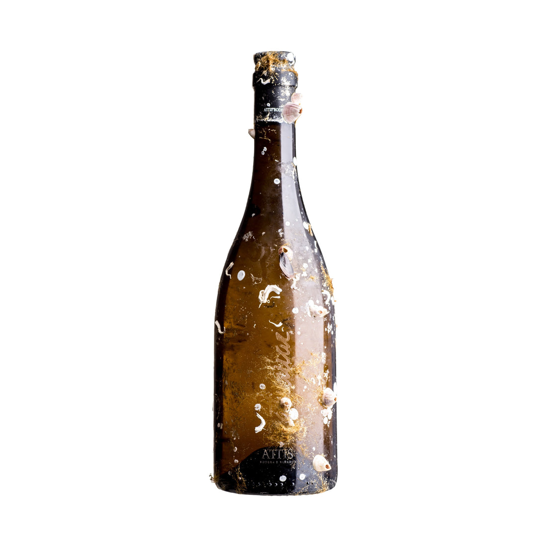 Attis Mar Albarino- Under The Sea – Rías Baixas, Spain