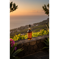 Blandy's Malmsey 10 Year Old – Coastal Terrace Serve, Madeira