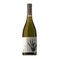 Explore Italy Wine Case Wine Case 6 x 75cl,12 x 75cl