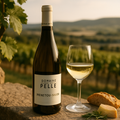 770 Miles Chardonnay – Golden State Vineyard Setting