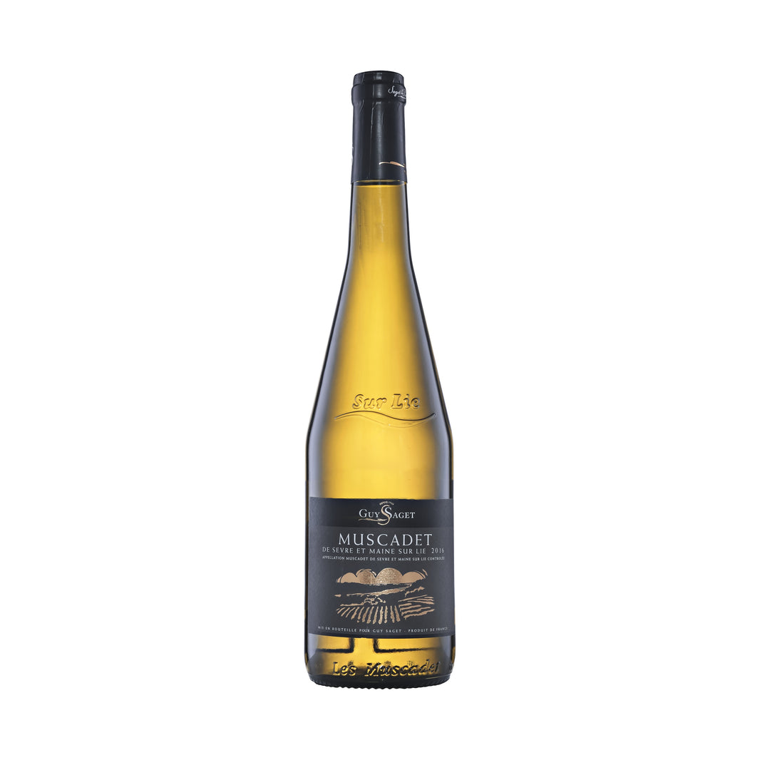 Guy Saget, Muscadet Sevre et Maine Sur Lie – Loire, France
