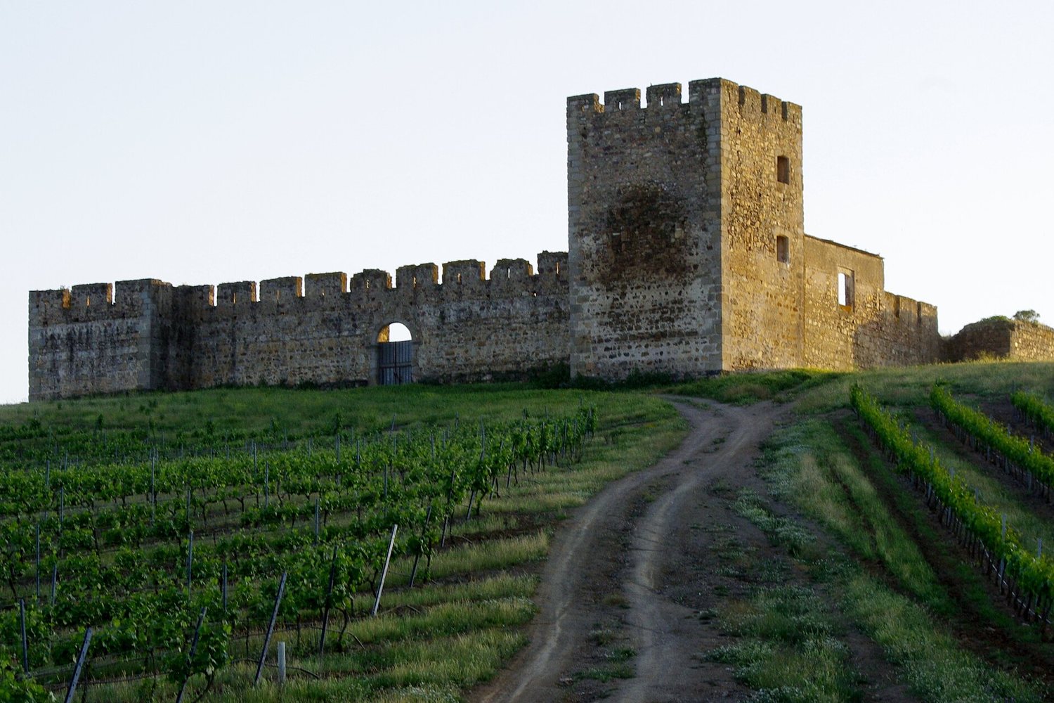 Alentejo wine region landscape. Photo: Ken & Nyetta (CC BY 2.0), via Wikimedia Commons