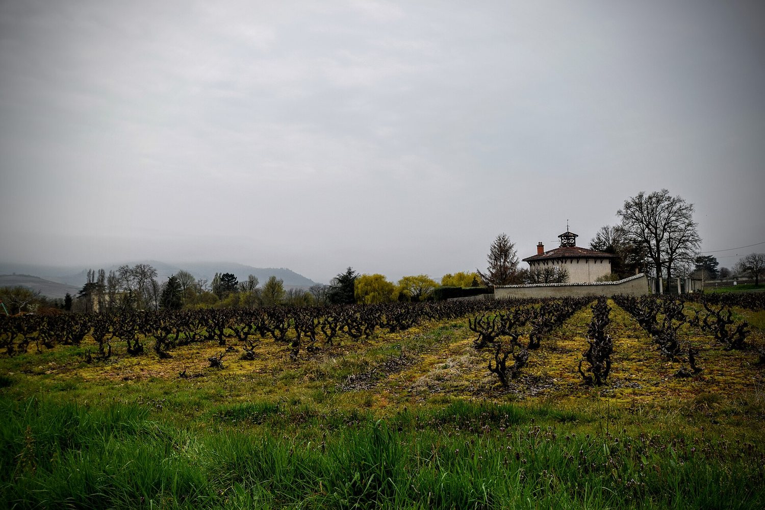 Beaujolais wine region landscape. Photo: Weekend Wayfarers (CC BY 2.0), via Wikimedia Commons