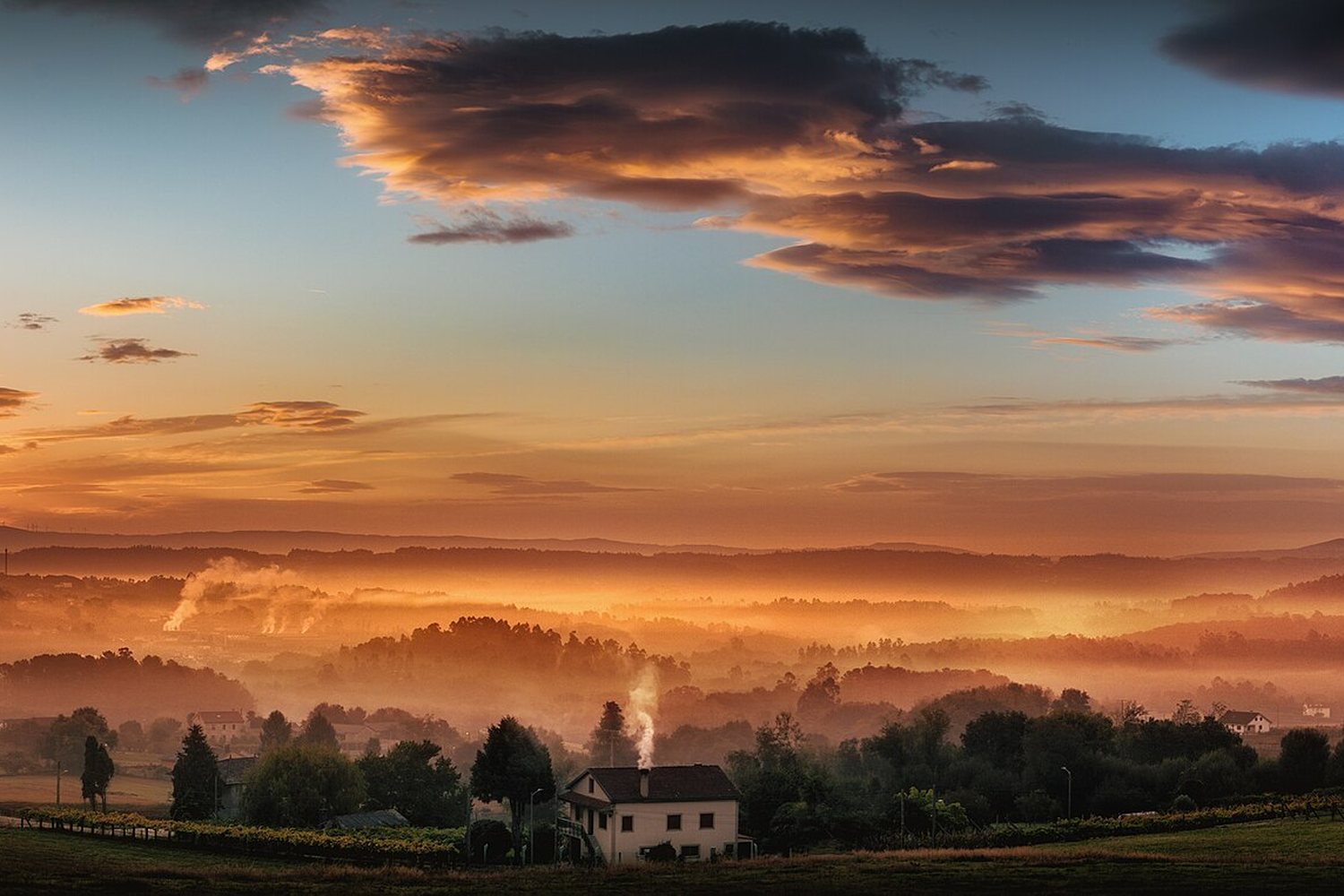 Bulgaria wine region landscape. Photo: Noel Feans (CC BY 2.0), via Wikimedia Commons