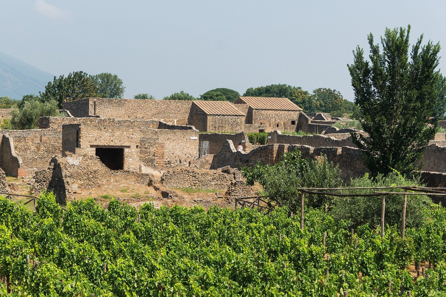Campania wine region landscape. Photo: Jebulon (CC0), via Wikimedia Commons (cropped)