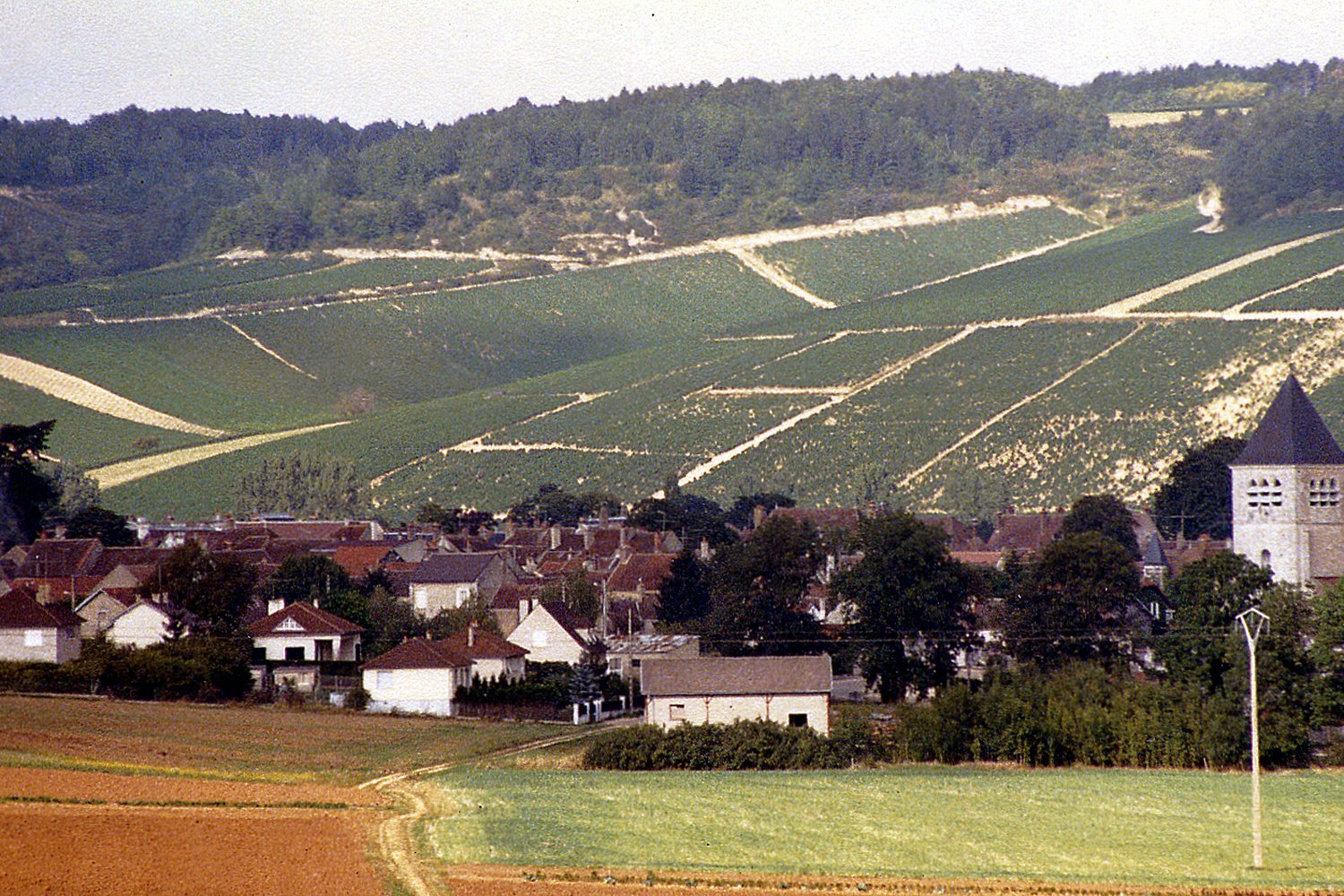 Champagne wine region landscape. Photo: Phillip Capper (CC BY 2.0), via Wikimedia Commons