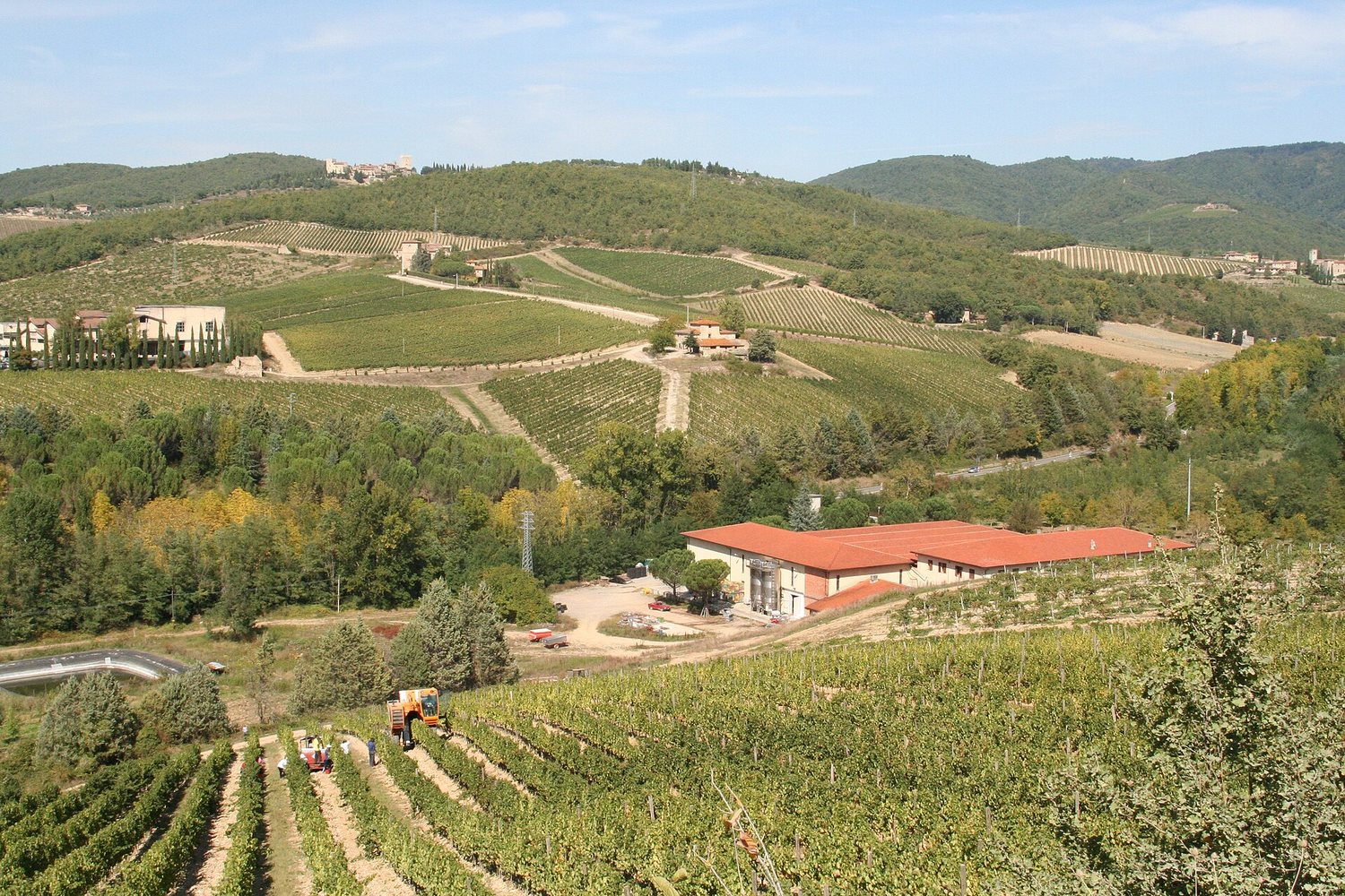 Chianti wine region landscape. Photo: dog4aday (CC BY 2.0), via Wikimedia Commons